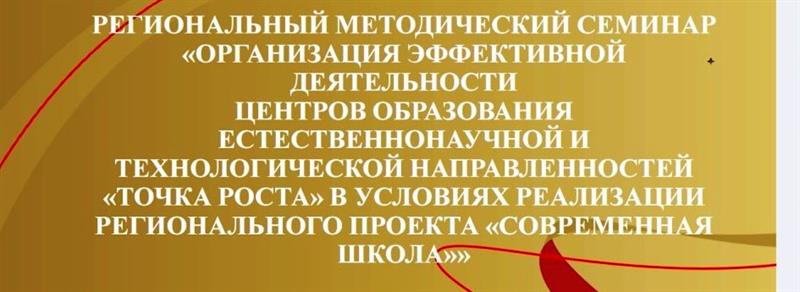 Методический вебинар «Организация эффективной деятельности Центров «Точка роста» в условиях реализации регионального проекта «Современная школа».